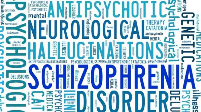 cara mengatasi skizofrenia tanpa obat-obatan_5